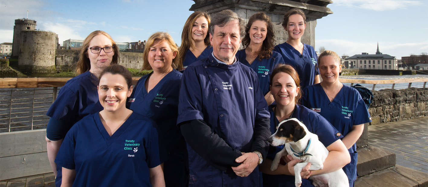 Treaty Veterinary Clinic Vet Limerick Treaty Vets